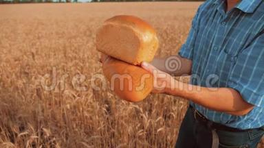 老农夫面包师拿着一个金色的面包和面包在麦田对抗蓝天。 慢动作视频。 <strong>成功成功成功</strong>